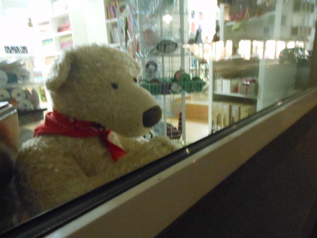 Schaufenster Deko Teddybär