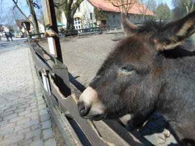 Tierpark Olderdissen Bielefeld