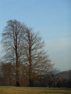 Ochsenheide Bielefeld