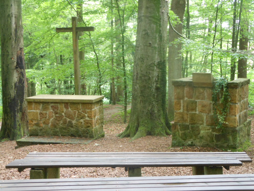 alte Bäume bei Waldkirche Waterboer