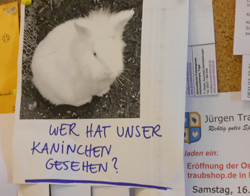 Kaninchen vermisst