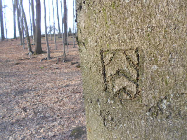 Wappenweg Bielefeld Wanderweg