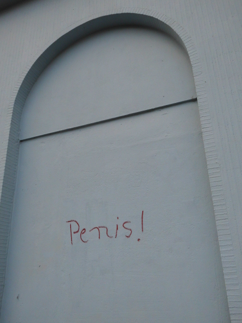 Penis