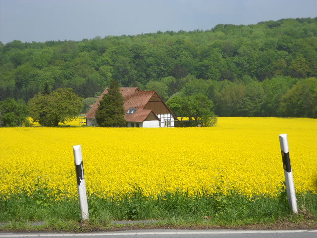 Teutoburger Wald Hoberge